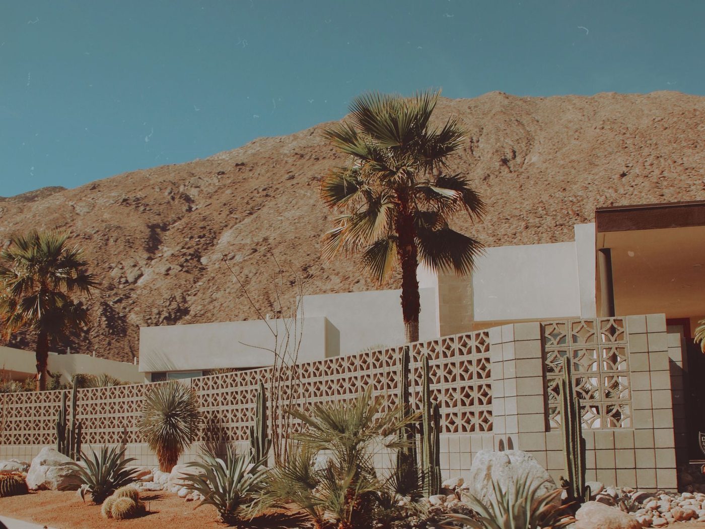 Coachella Valley home with palms, breeze block wall and desert landscaping against a bare mountain